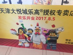 -乐高授权专卖店(南开大悦城店)