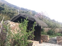 -看见远方·莫干遥远的山民宿