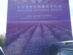 -北京东方普罗旺斯薰衣草庄园