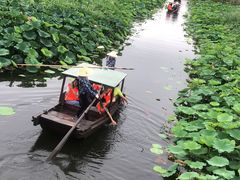 -荷塘月色湿地公园·向阳花洲