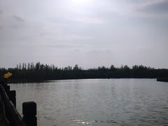 -西青郊野公园