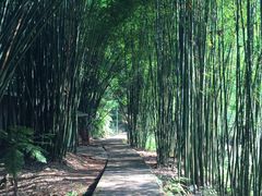 -四洞沟景区
