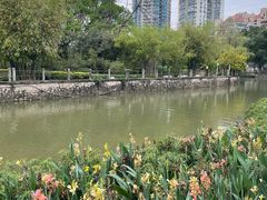 -晓港公园
