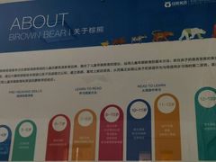 -亲亲袋鼠托育早教·思维专注力·棕熊英语(鼓楼恒力城店)