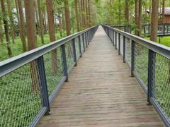 -黄海国家森林公园