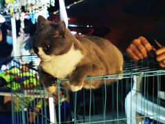 -华声天桥民俗文化园