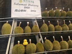 -都念榴莲·城市榴莲