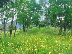 -楠溪江风景名胜区