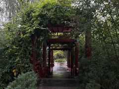 -北坞公园