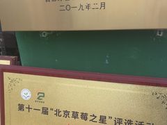 -大自然农场蔬菜草莓采摘园