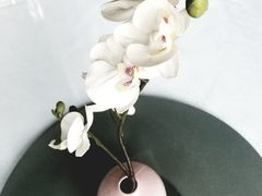 -院8里·小乐园家常味川菜(鹭洲里店)