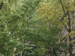 -陕西师范大学(雁塔校区)