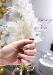 -染指坊日式美甲美睫设计中心