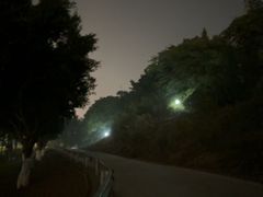 -大渡口区义渡公园