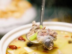 -金龙·打边炉(南京西路店)