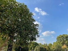 -七宝老街-闵行市民文化广场