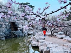 -北京西山国家森林公园