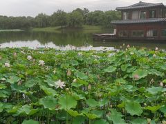 -湘湖大院(越王路店)