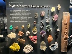 -美国自然历史博物馆