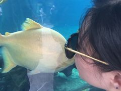 -广东省拱北口岸中国旅行社(华宾营业部)