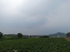 -大连铭湖国际观光牧场