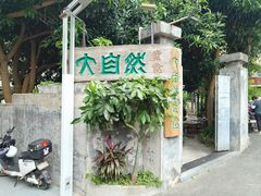 -大自然素食(望桐路店)