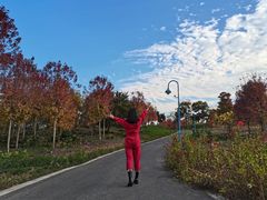-南京枫彩漫城
