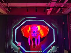 -疯克大象美式烤肉餐厅