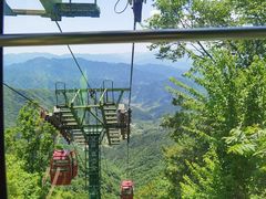 -王顺山国家森林公园