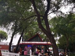 -枫花园汽车电影院(朝阳公园店)
