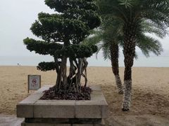 -鼓浪屿内厝澳码头(轮渡站)