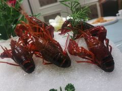 -宝燕壹号(长寿店)