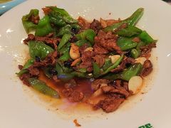 -新白鹿餐厅(百联中环店)