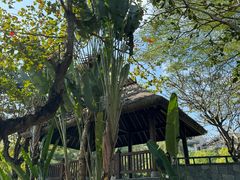 -海南清水湾莱佛士酒店