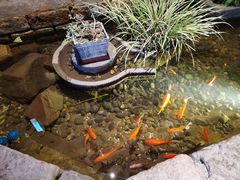 -老李家土菜馆·安吉地标美食