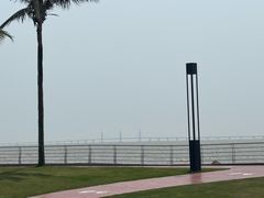 -野狸岛