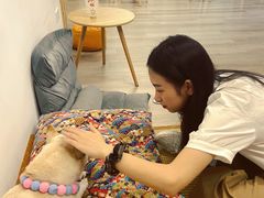 -柴迷FANS CLUB·柴犬狗咖·猫咖