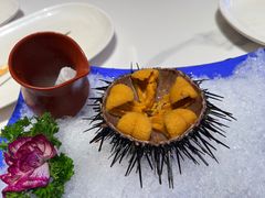 海胆-正黄旗海鲜烧烤大排档(延安路总店)