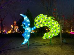 -南宫五洲植物乐园