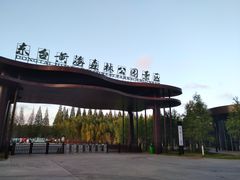 -黄海国家森林公园