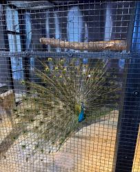 -酷嗒动物文化乐园(cutezoo西溪乐天城店)