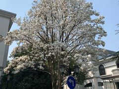 -张江润和国际总部园