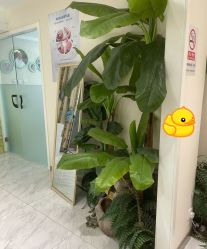 -健身堂科技美肌SPA