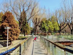 -新虹桥中心花园