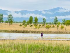 -野鸭湖国家湿地公园