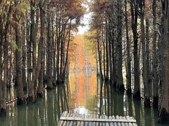 -尚湖风景区