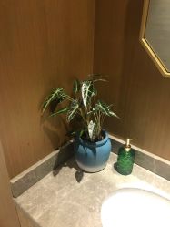点击看大图 -苑苑vbeauty科技美容SPA