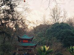 -岳麓山风景名胜区