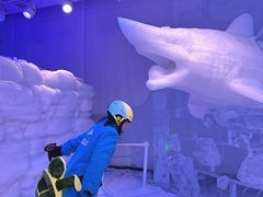 -世界之窗阿尔卑斯冰雪世界
