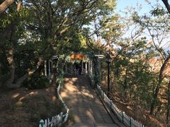 -燕窝岭